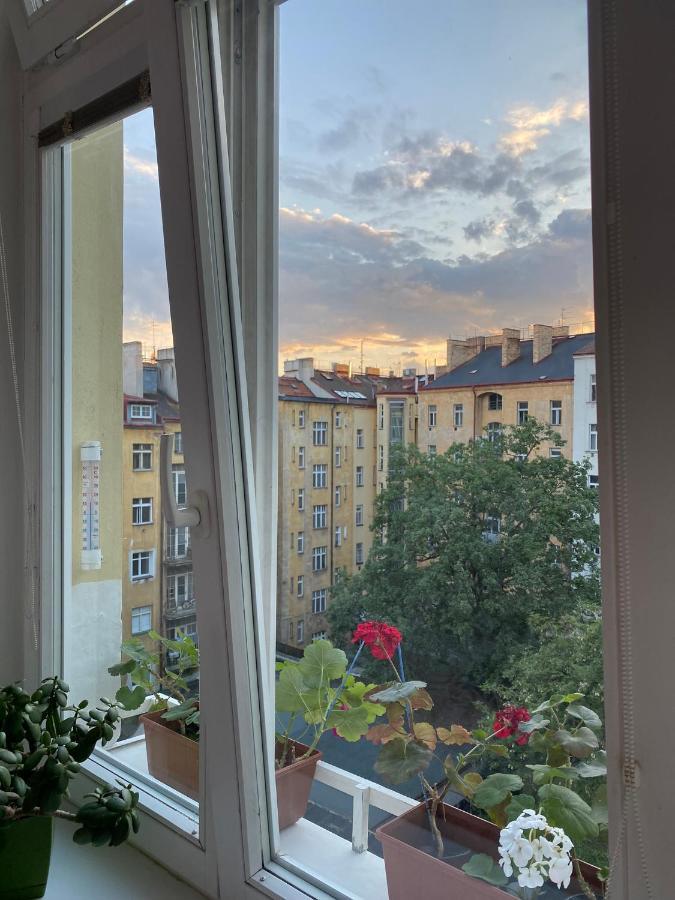 Homelike Apartmán Prague