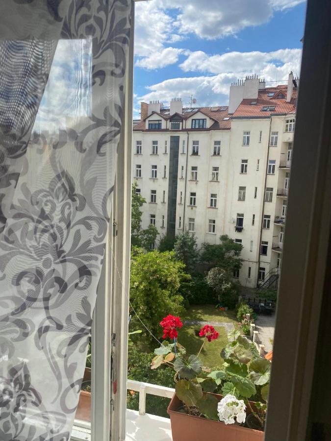 Homelike Apartmán *